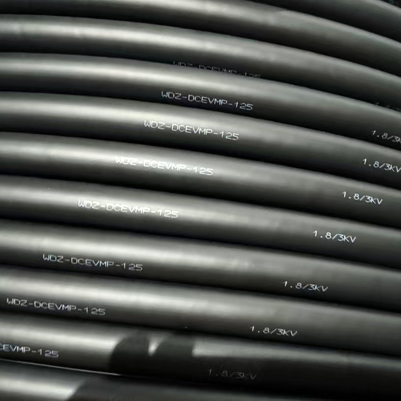 WDZ-DCEVMP-125 120mm² 1.8-3KV.jpg