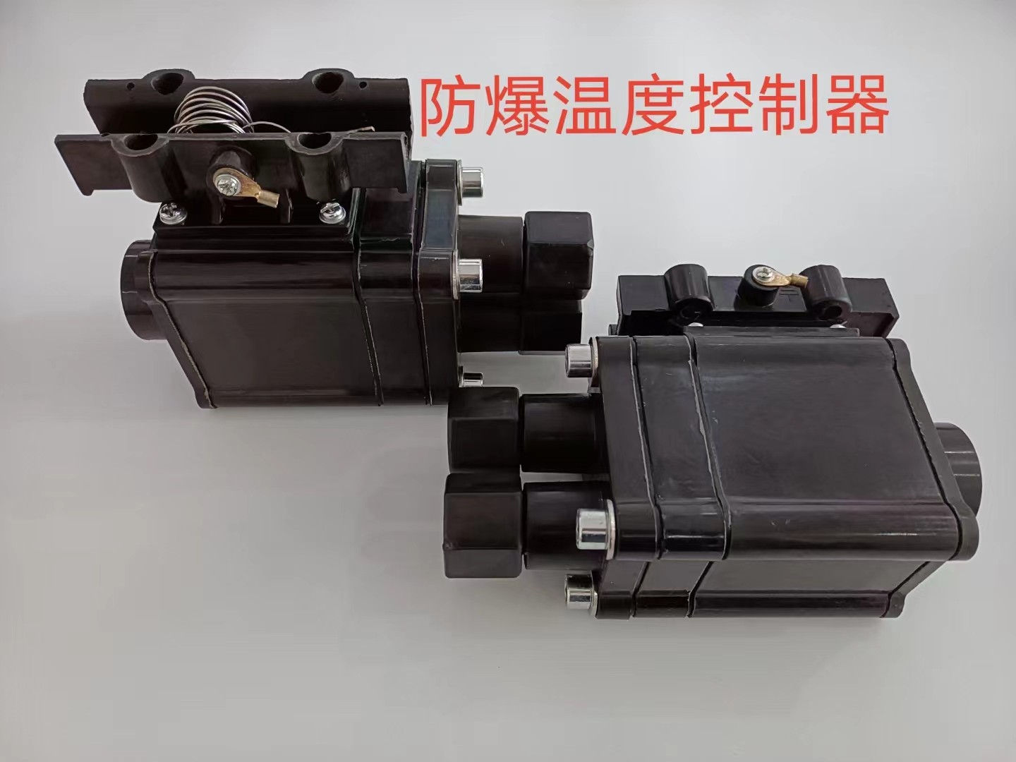 17906458688790.jpg 电伴热防爆温度控制器9-1.jpg